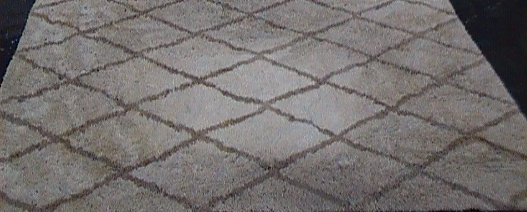 Before Shag rug cleaning Los Angeles